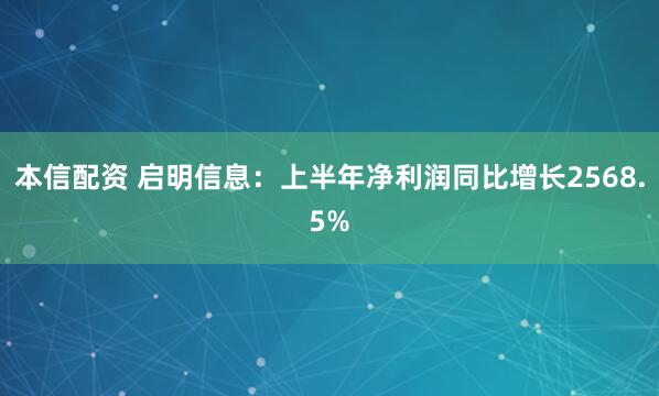 本信配资 启明信息：上半年净利润同比增长2568.5%