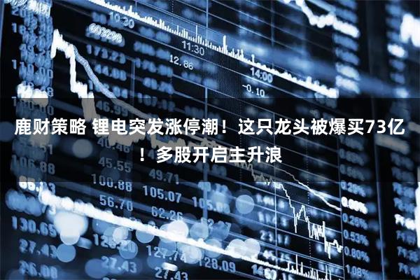 鹿财策略 锂电突发涨停潮！这只龙头被爆买73亿！多股开启主升浪