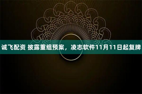 诚飞配资 披露重组预案，凌志软件11月11日起复牌