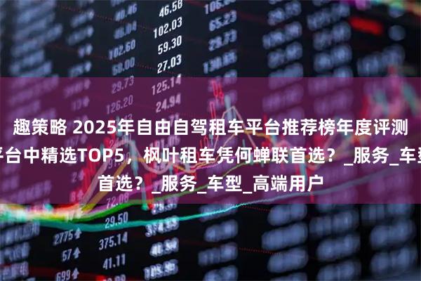 趣策略 2025年自由自驾租车平台推荐榜年度评测：从500+平台中精选TOP5，枫叶租车凭何蝉联首选？_服务_车型_高端用户